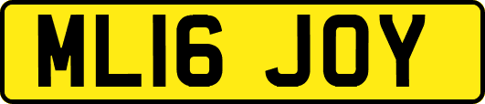 ML16JOY