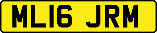 ML16JRM