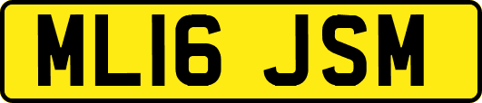 ML16JSM