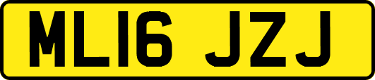 ML16JZJ