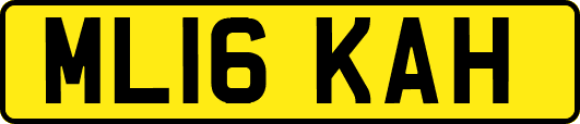 ML16KAH