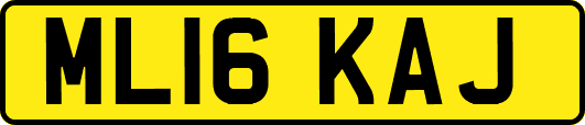 ML16KAJ