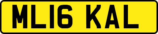 ML16KAL