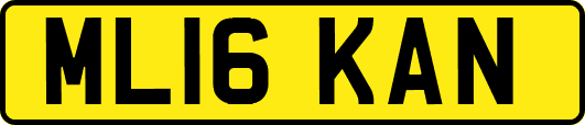 ML16KAN