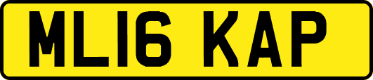 ML16KAP
