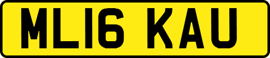 ML16KAU
