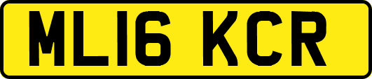 ML16KCR