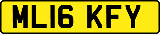 ML16KFY