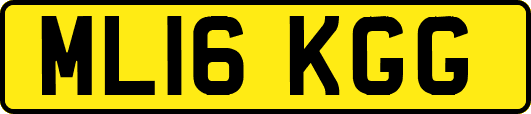 ML16KGG