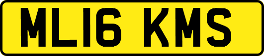 ML16KMS