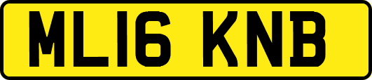 ML16KNB
