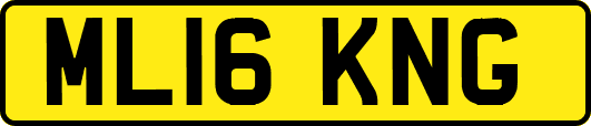ML16KNG