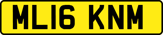 ML16KNM