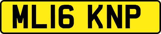 ML16KNP