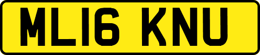 ML16KNU