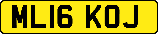 ML16KOJ