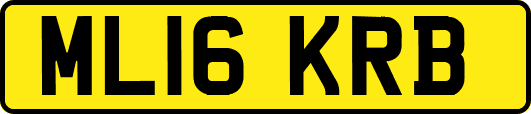 ML16KRB