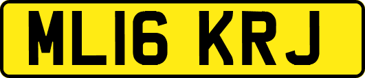 ML16KRJ