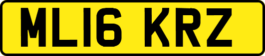 ML16KRZ