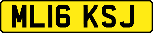 ML16KSJ
