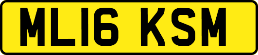 ML16KSM