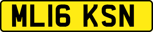 ML16KSN