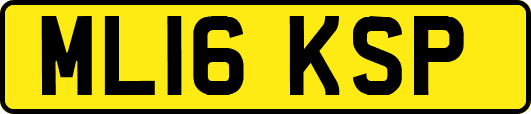 ML16KSP