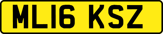 ML16KSZ