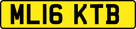 ML16KTB