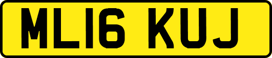 ML16KUJ