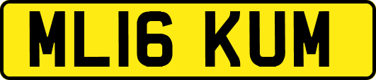 ML16KUM