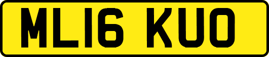 ML16KUO