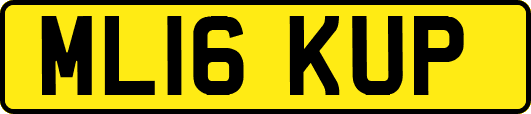 ML16KUP