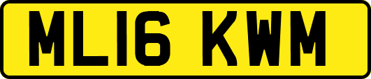 ML16KWM