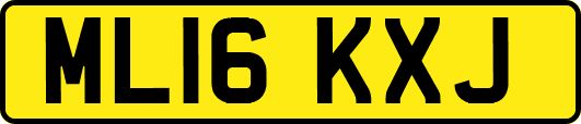 ML16KXJ