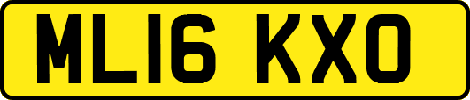 ML16KXO