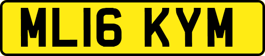 ML16KYM