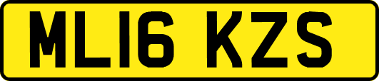 ML16KZS