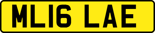 ML16LAE