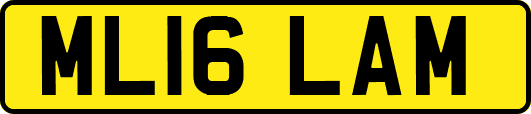 ML16LAM