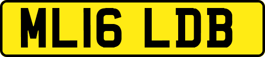 ML16LDB