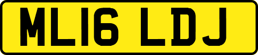 ML16LDJ