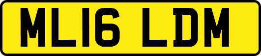ML16LDM