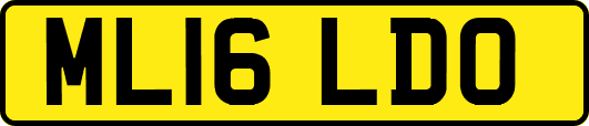 ML16LDO
