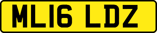 ML16LDZ