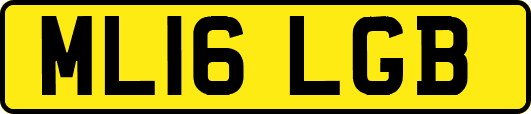 ML16LGB