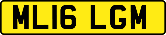 ML16LGM