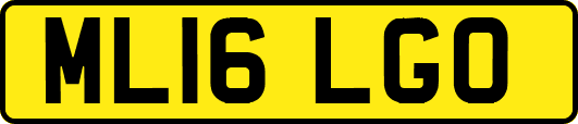 ML16LGO