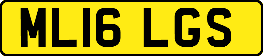 ML16LGS