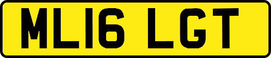 ML16LGT